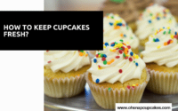 How to Keep Cupcakes Fresh?