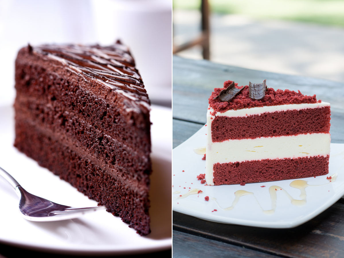 Red Velvet vs Chocolate Cake Which is Better? Oh Snap! Cupcakes