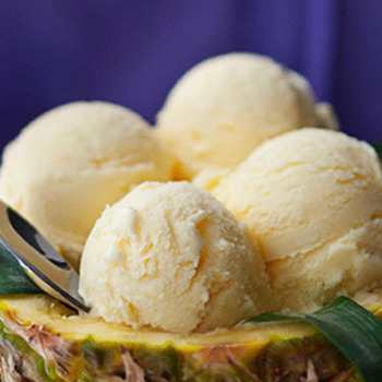 Ninja Blender Ice Cream Recipes