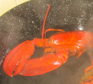 Ruth Chris Spicy Lobster Recipe
