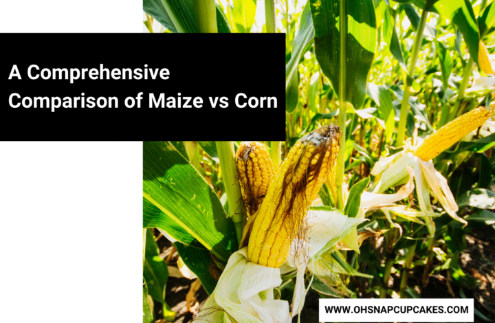 A Comprehensive Comparison of Maize vs Corn