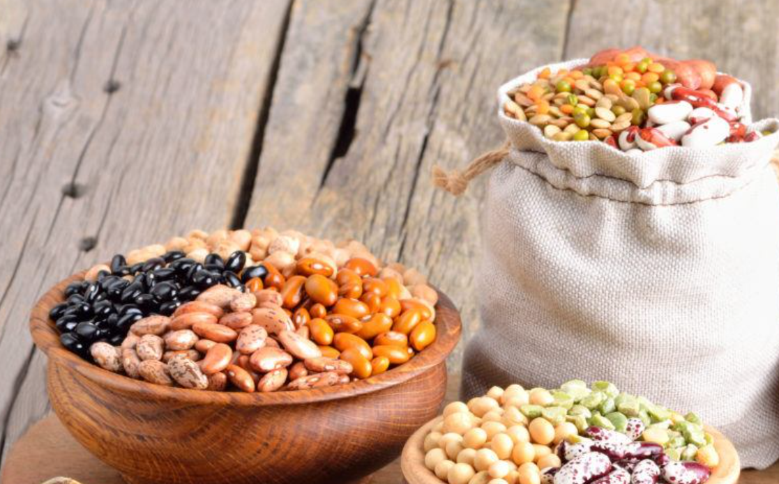 A Comprehensive Guide to Understanding the Differences Between Beans Vs