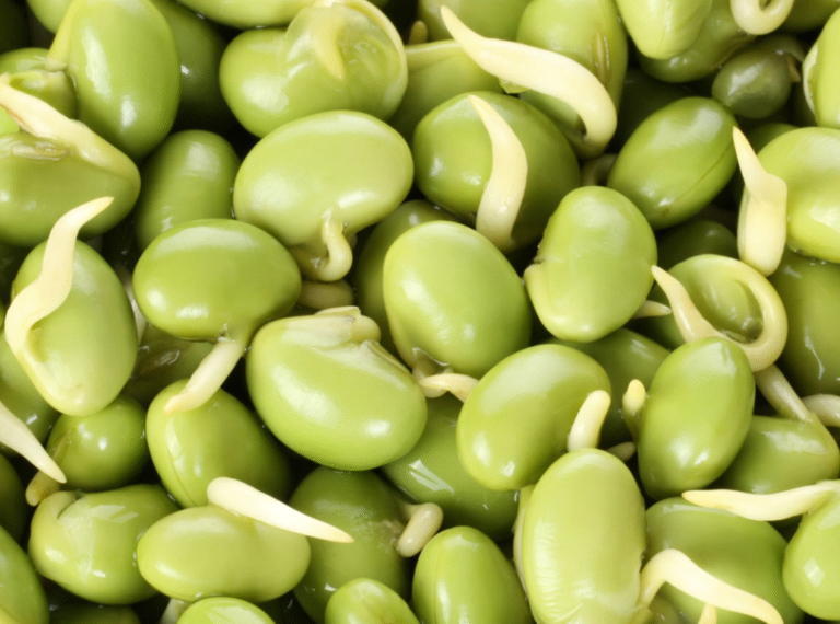 Butter Beans vs Lima Beans A Comprehensive Comparison Oh Snap! Cupcakes