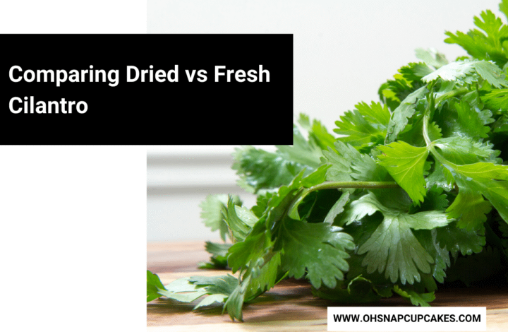 Comparing Dried vs Fresh Cilantro