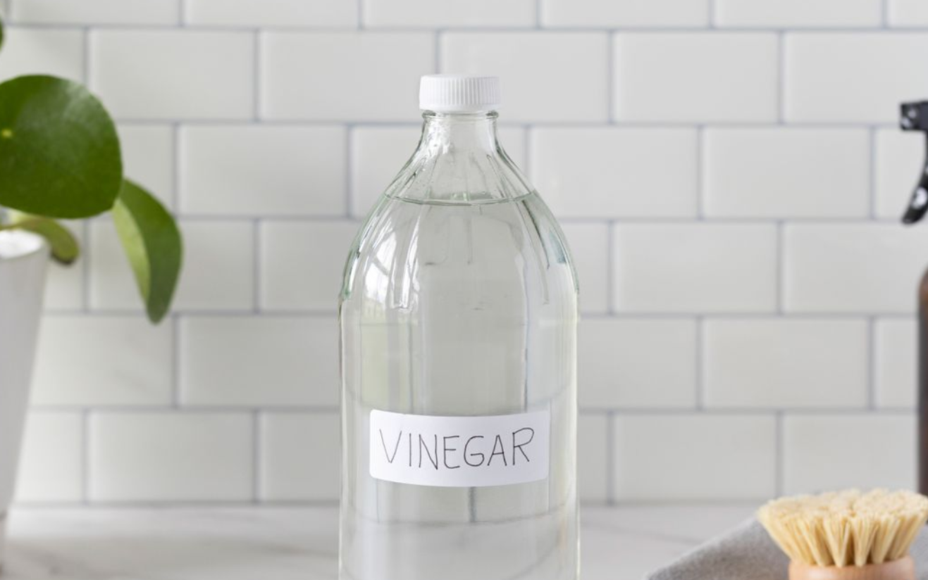 Is Distilled White Vinegar Good For Dogs at Rufus Howard blog