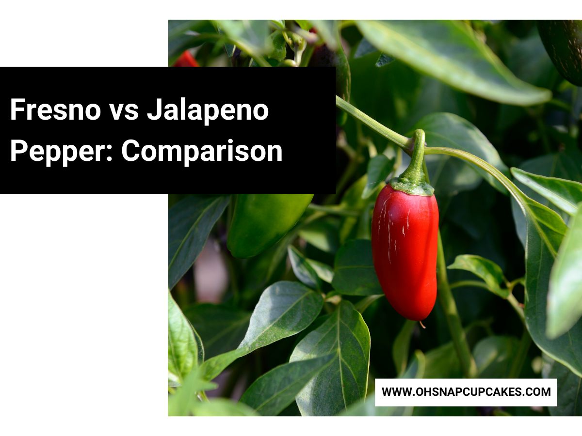 Fresno vs Jalapeno Pepper Comparison Oh Snap! Cupcakes