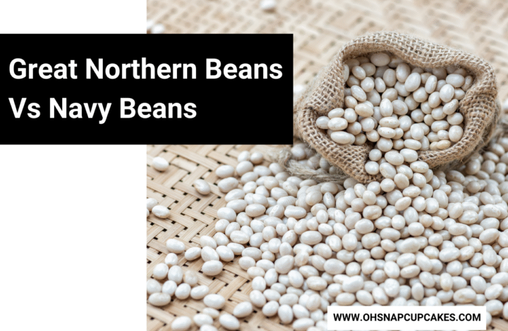 Comparing Great Northern Beans Vs Navy Beans – Which is Best?