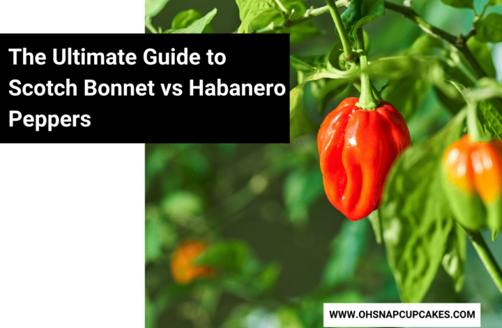 The Ultimate Guide to Scotch Bonnet vs Habanero Peppers