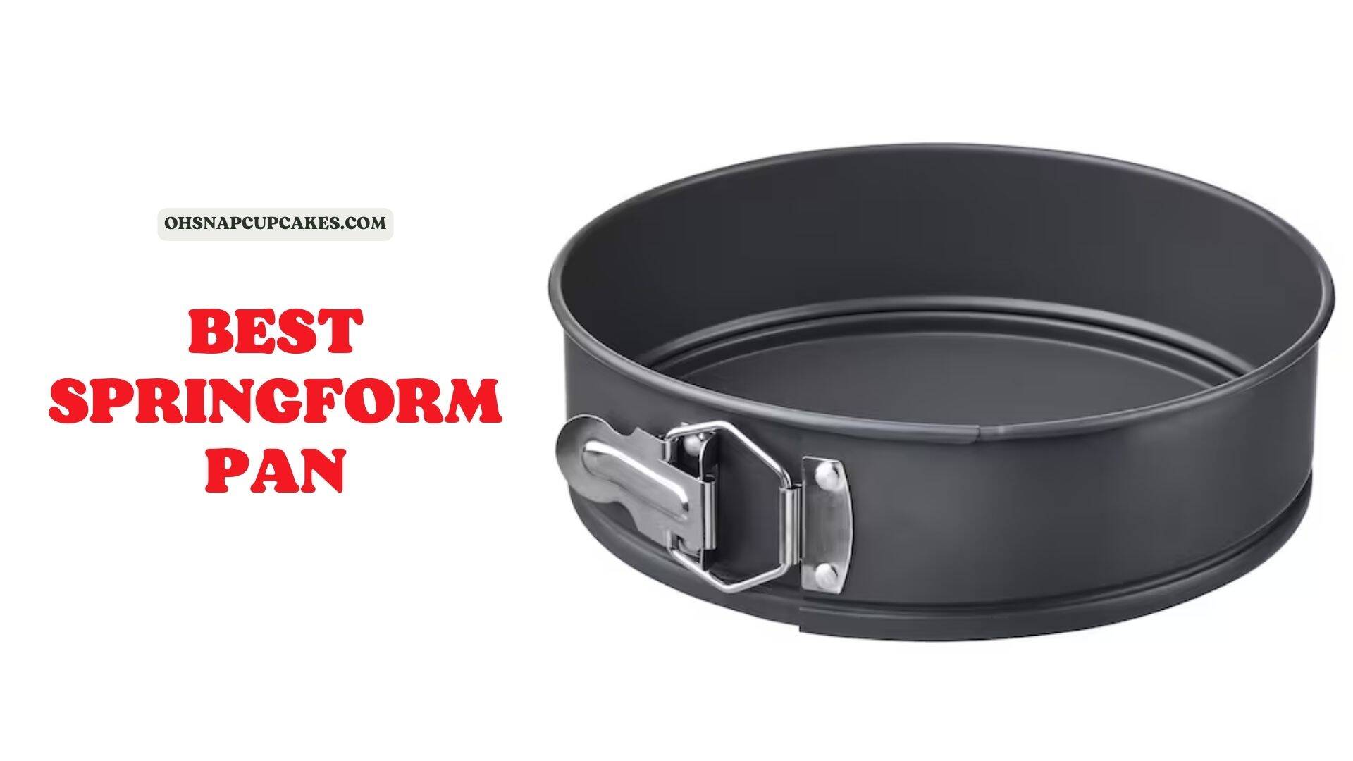 The Best Springform Pan America's Test Kitchen 2023 Oh Snap! Cupcakes