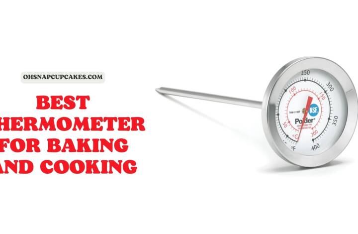 Top 10 The Best Thermometer for Baking and Cooking 2023
