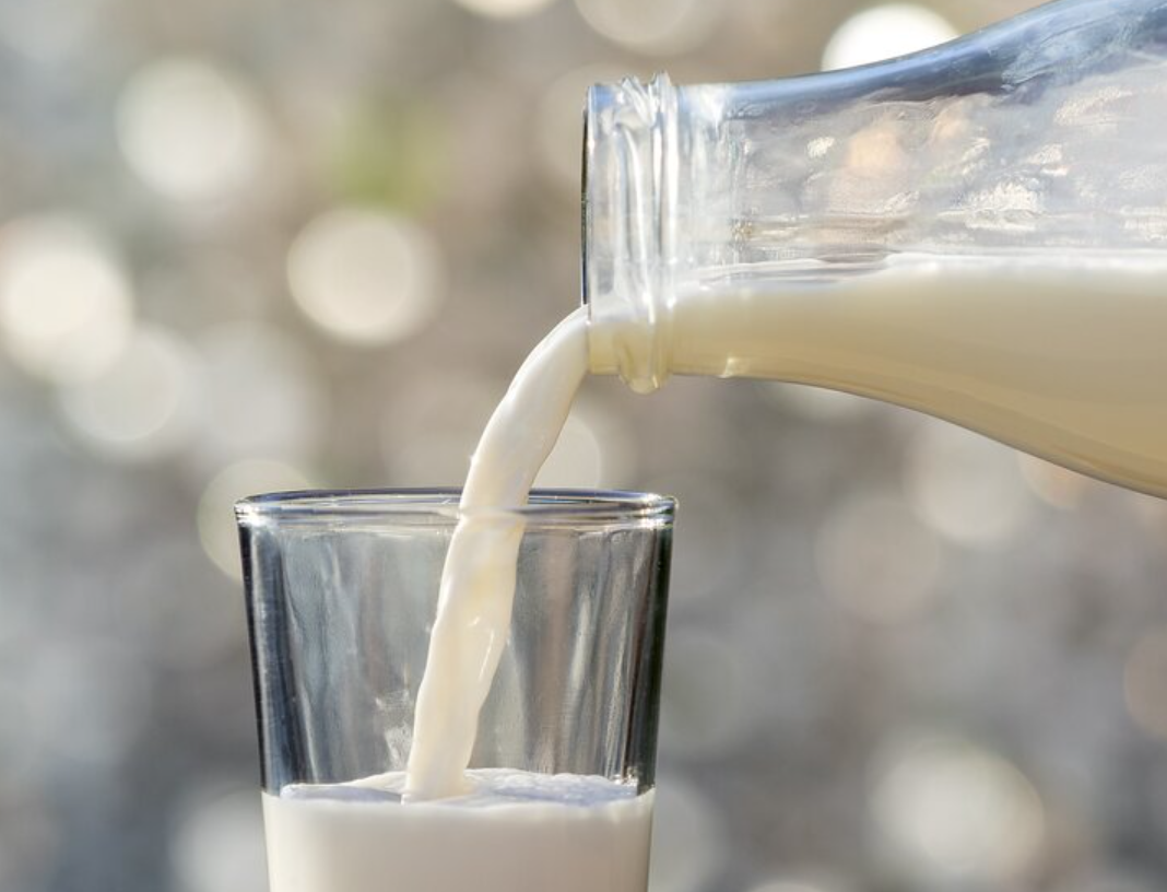 The Benefits & Differences of Cream vs Milk What to Choose? Oh Snap