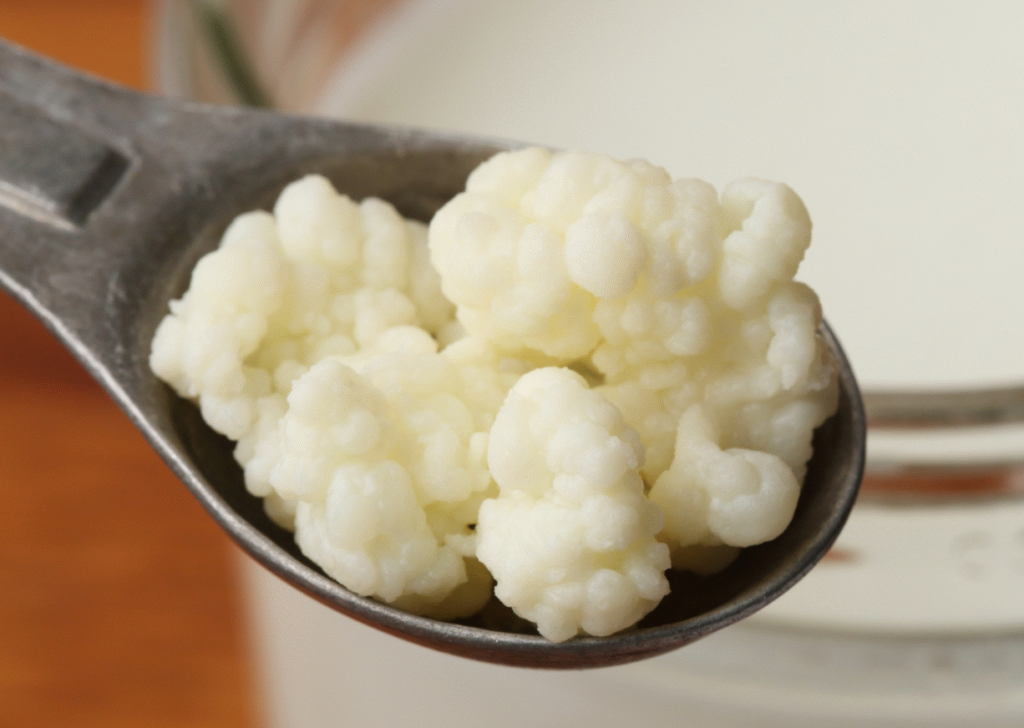 How to Store Kefir Grains? Oh Snap! Cupcakes
