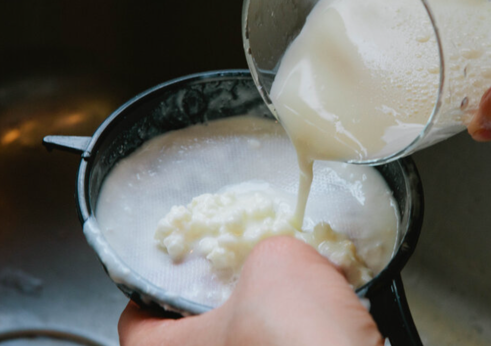 How to Store Kefir Grains? Oh Snap! Cupcakes