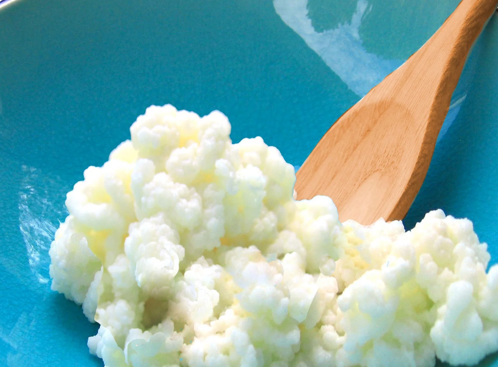 How to Store Kefir Grains? Oh Snap! Cupcakes